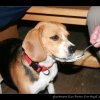 20080125_199